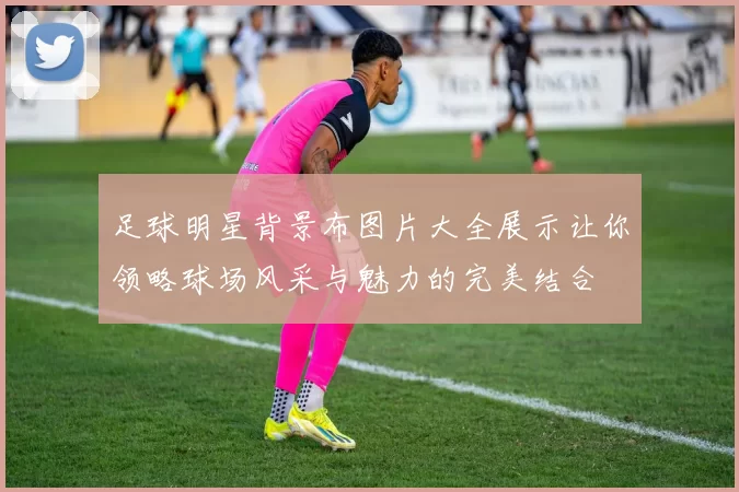 足球明星背景布图片大全展示让你领略球场风采与魅力的完美结合