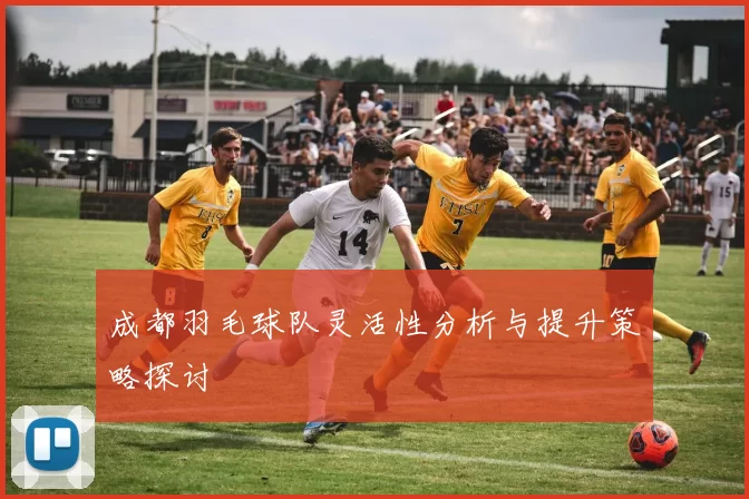 成都羽毛球队灵活性分析与提升策略探讨