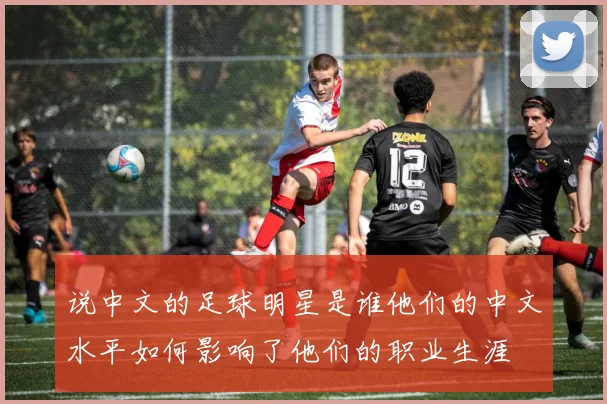 说中文的足球明星是谁他们的中文水平如何影响了他们的职业生涯