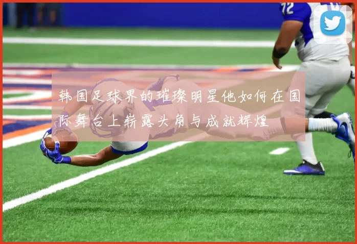 韩国足球界的璀璨明星他如何在国际舞台上崭露头角与成就辉煌