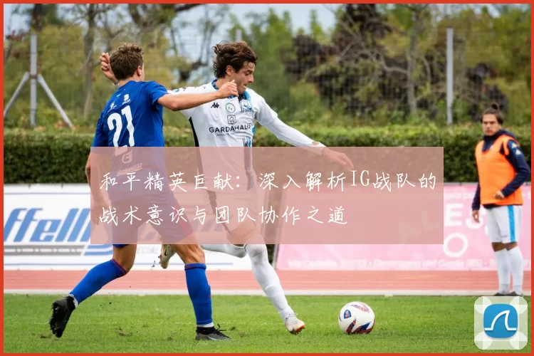和平精英巨献：深入解析IG战队的战术意识与团队协作之道