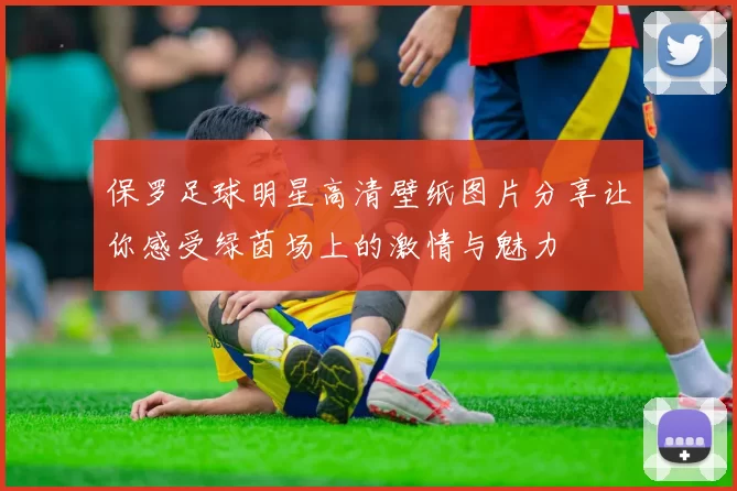 保罗足球明星高清壁纸图片分享让你感受绿茵场上的激情与魅力