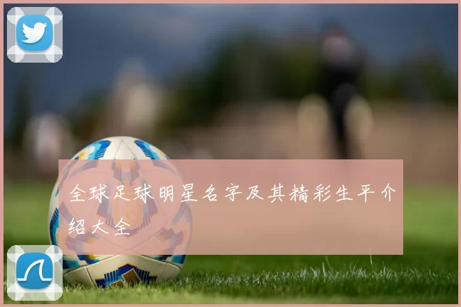 全球足球明星名字及其精彩生平介绍大全