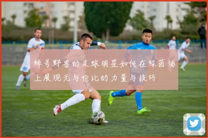 绰号野兽的足球明星如何在绿茵场上展现无与伦比的力量与技巧