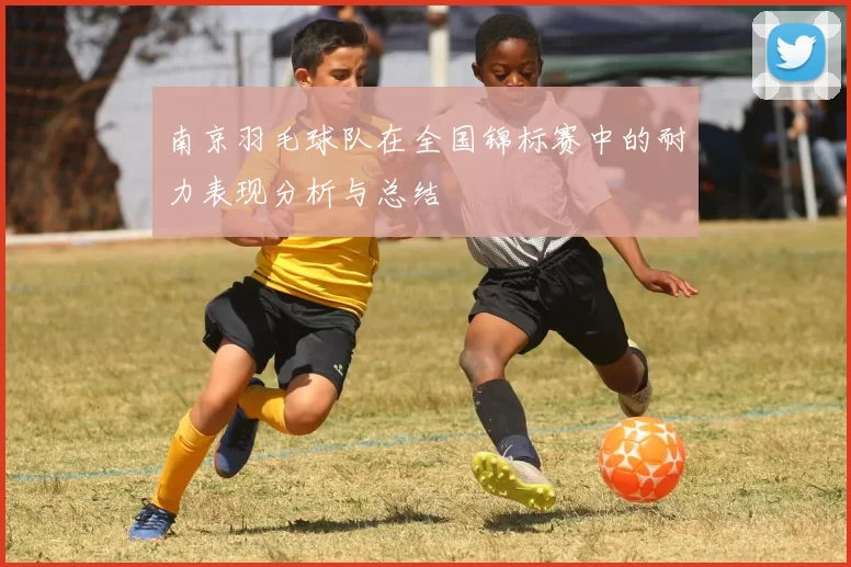 南京羽毛球队在全国锦标赛中的耐力表现分析与总结