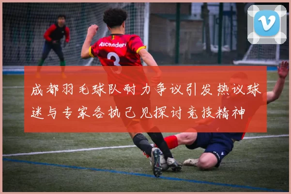 成都羽毛球队耐力争议引发热议球迷与专家各执己见探讨竞技精神