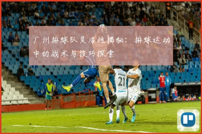 广州排球队灵活性揭秘：排球运动中的战术与技巧探索