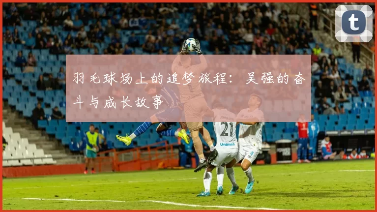 羽毛球场上的追梦旅程：吴强的奋斗与成长故事