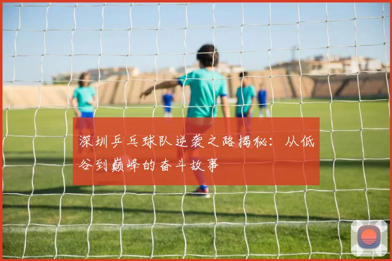 深圳乒乓球队逆袭之路揭秘：从低谷到巅峰的奋斗故事