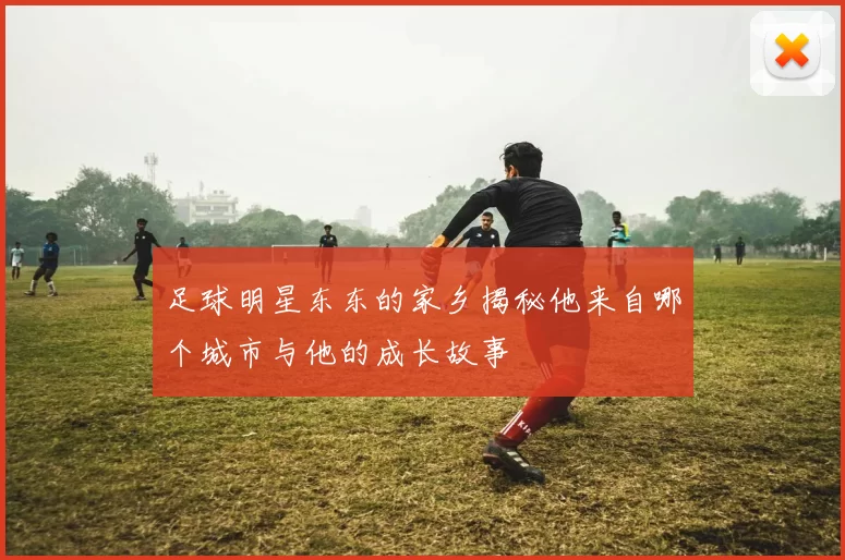 足球明星东东的家乡揭秘他来自哪个城市与他的成长故事