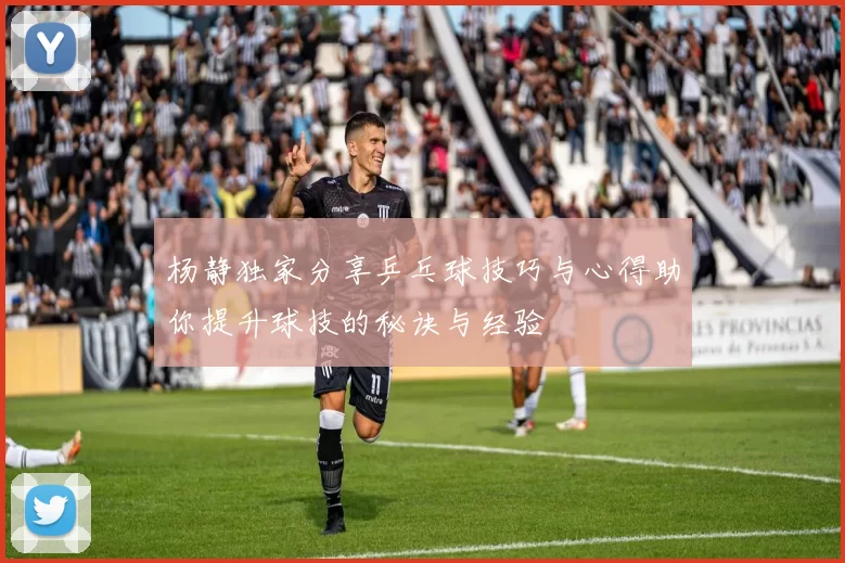 杨静独家分享乒乓球技巧与心得助你提升球技的秘诀与经验