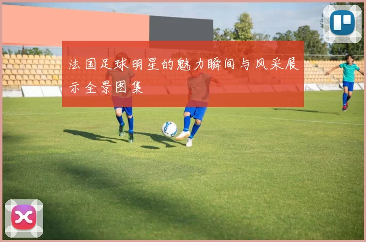 法国足球明星的魅力瞬间与风采展示全景图集