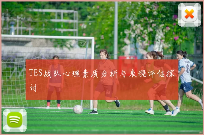 TES战队心理素质分析与表现评估探讨