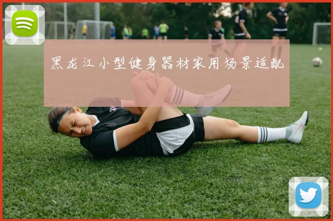 黑龙江小型健身器材家用场景适配