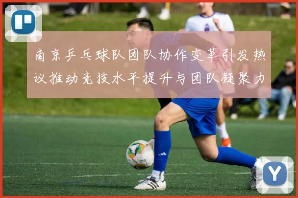南京乒乓球队团队协作变革引发热议推动竞技水平提升与团队凝聚力增强